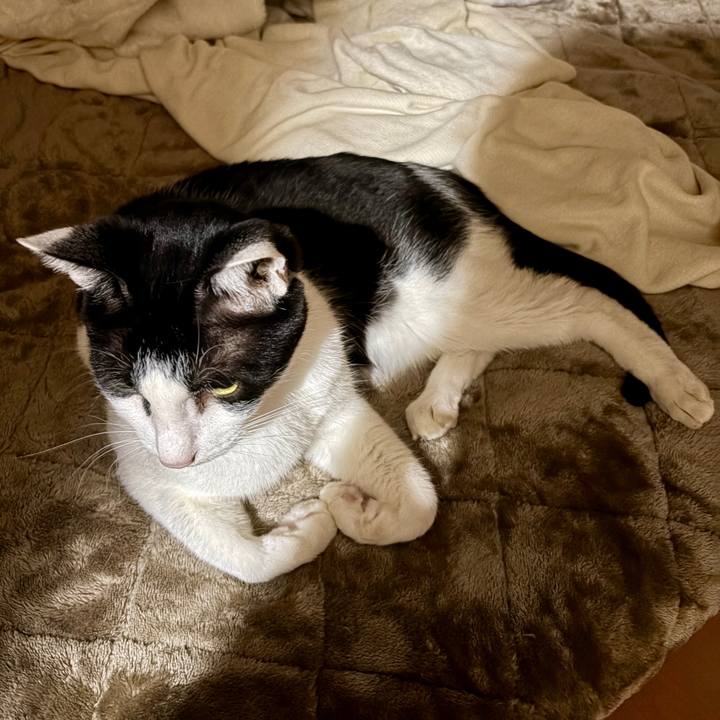 3afc86a1 c49d 4b0d 9359 c8218eee4745 1762265116564