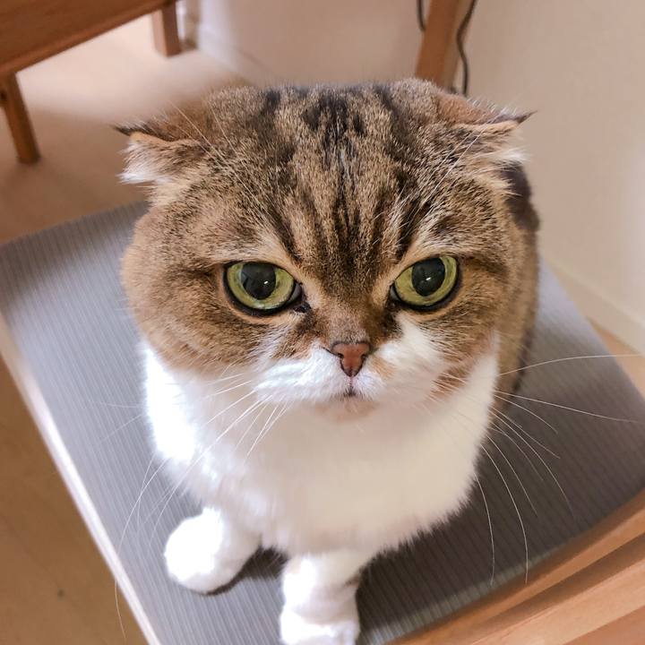 3afc9c62 a34c 4232 b1ba 463399229f98 1553083273894