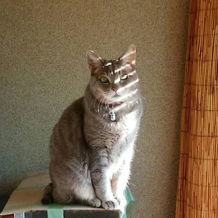 3afcaa64 28a7 49aa 86bc f163a73d1713 1579393758297