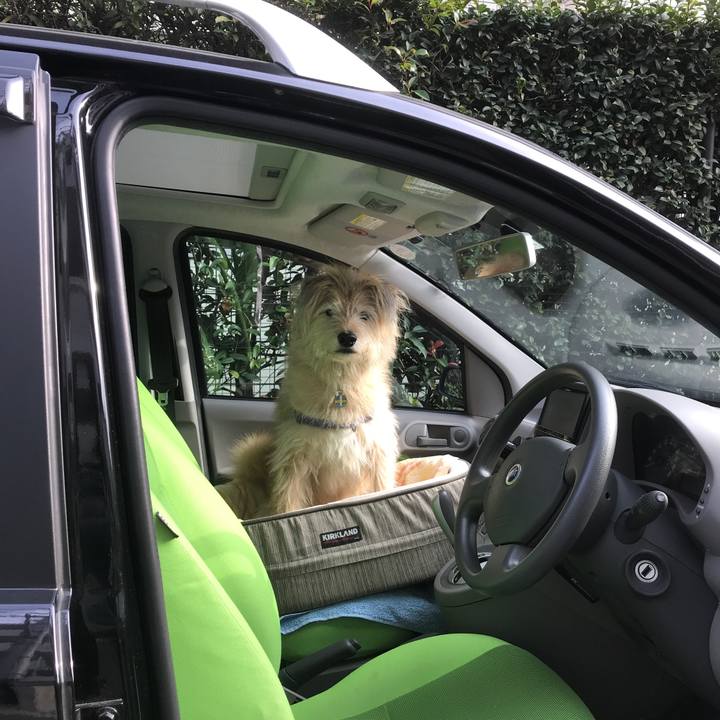 3afcb324 3c1d 49e5 9b84 c4c78780ca07 1542499714960