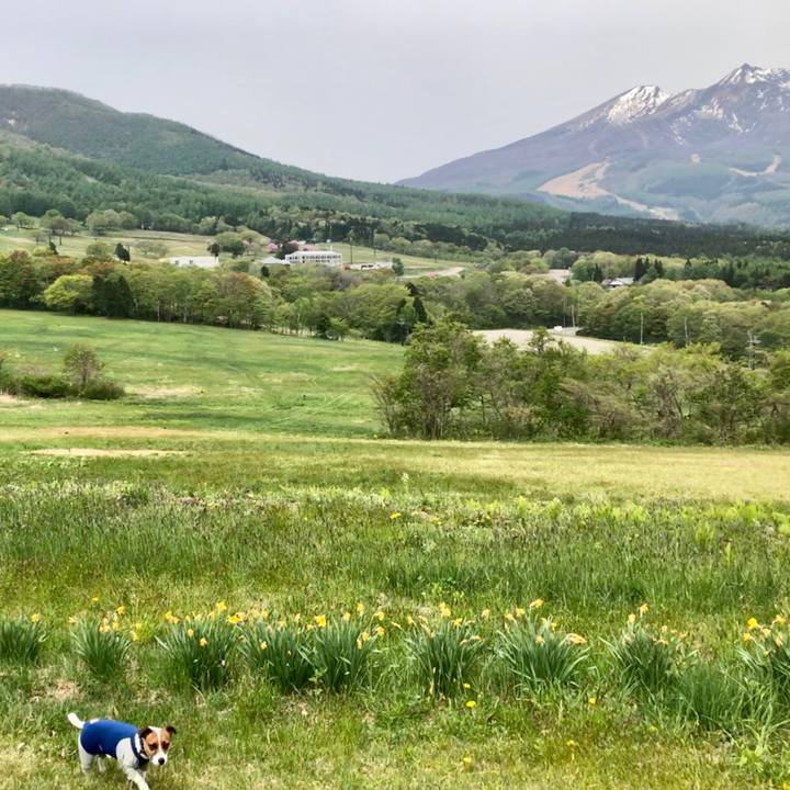 3afd2a13 4801 4035 8007 3fc9de1f414a 1589514570575