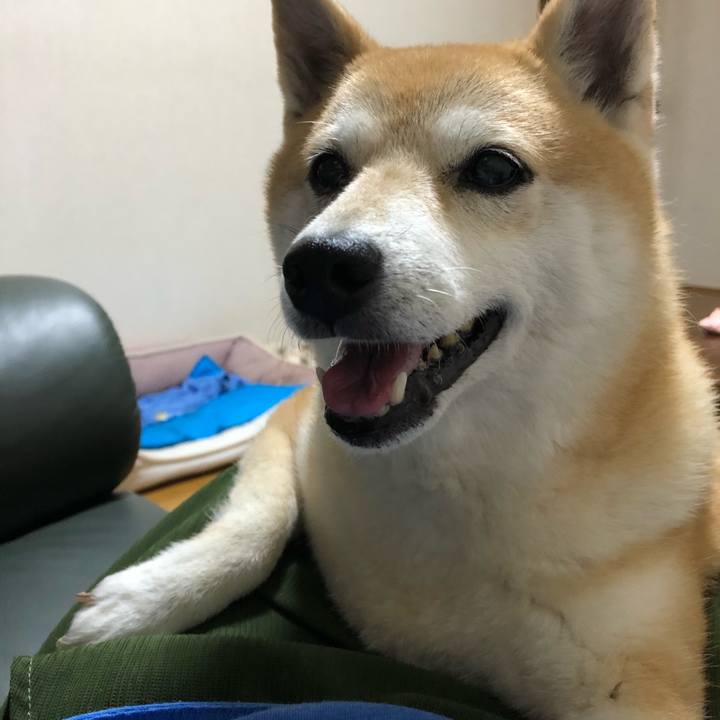 3afd4d2e d8a6 48c1 a893 c7b5121d8963 1593345066959