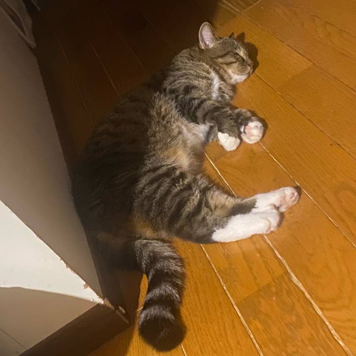 3afda6ef 1ec7 4df7 a6f7 6068c8f8f934 1692034124236