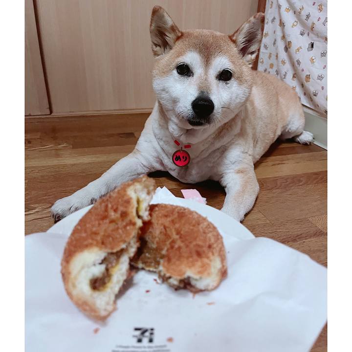 3afdf2fe 41fd 484b b2af 2954f1d0a67c 1722587771121