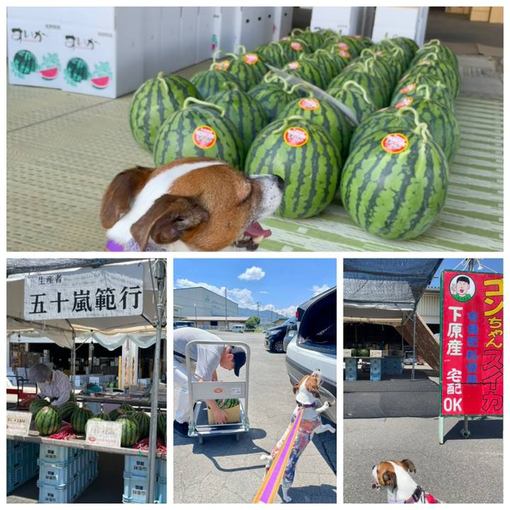 3afe48a7 b408 42f9 a6a8 2dfcd08a686f 1723087909786