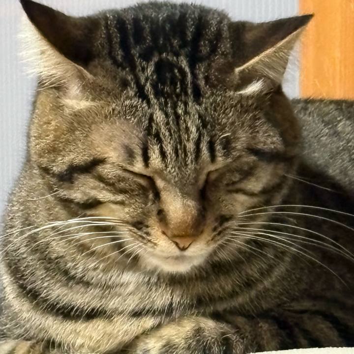 3afe6700 2e98 4e6b ba90 7b90fe035951 1762042287895