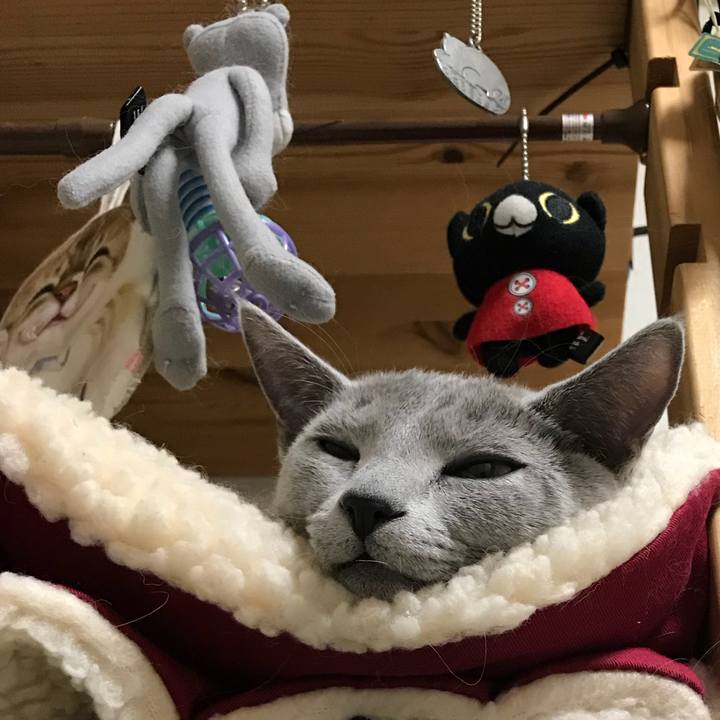 3afe8209 e92d 4e8f 817e 0a0ff8d70e42 1511619160005