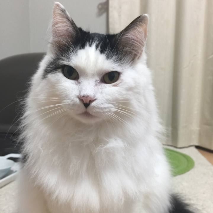 3afe99a1 fb59 40c4 845c bd470cc962dc 1514718338147