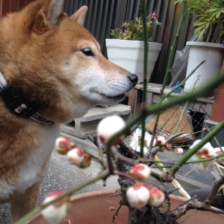 3afea376 072e 4a83 9ccb 01efc83775aa 1551244737884