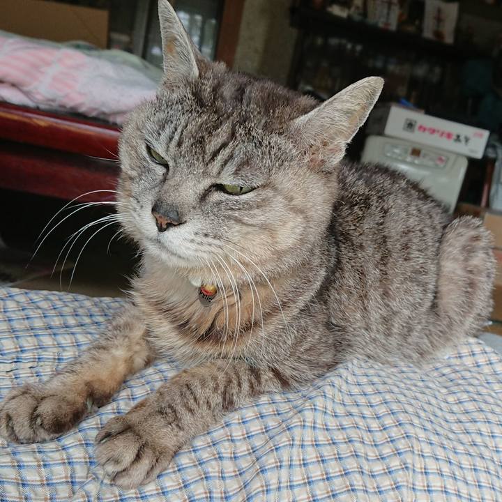 3afea389 45d2 4428 8c9d dfef005722f2 1591419628516