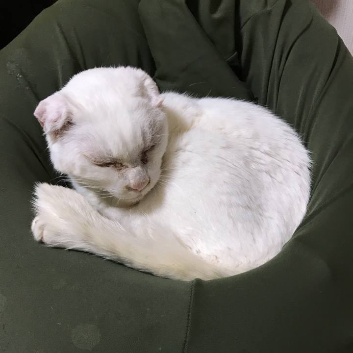 3afeaa8e 901d 4087 90e6 3517bb647110 1518797150831