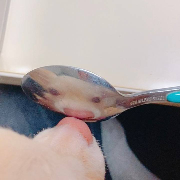 3afec05a 6801 4675 bffb 5672970cee50 1630804488241