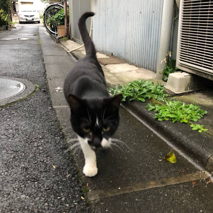 3afece24 3f64 4e1b 984f 531790b40b31 1524656867541