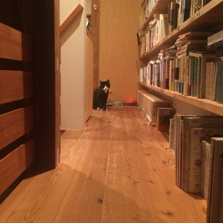 3afedc5c 66fe 44e1 b5a4 4d19174af2f1 1560338256902