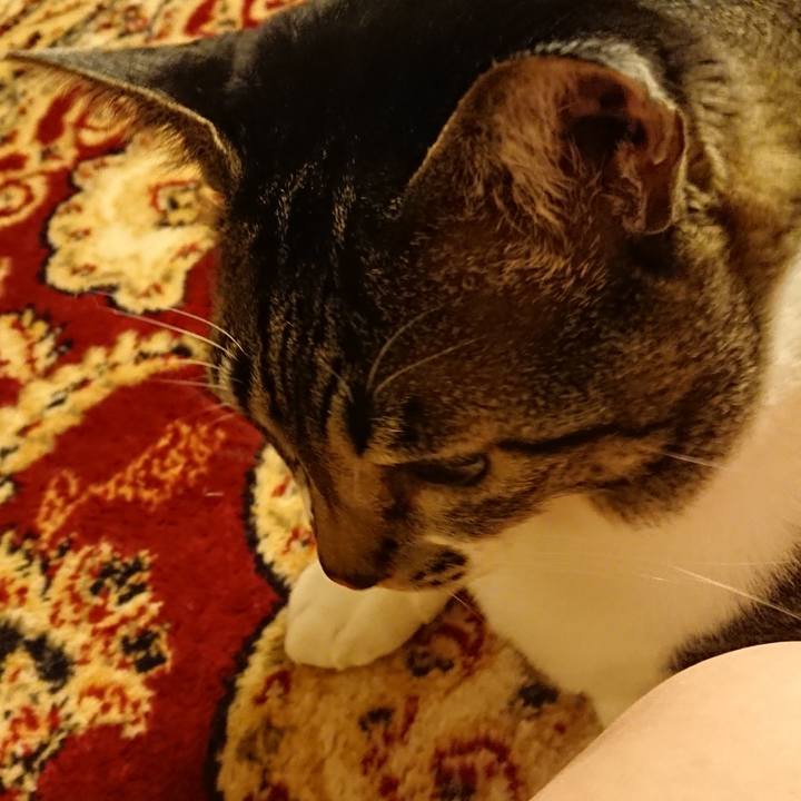 3aff77df c0ae 4858 9266 fbc0df8922c8 1540812693353