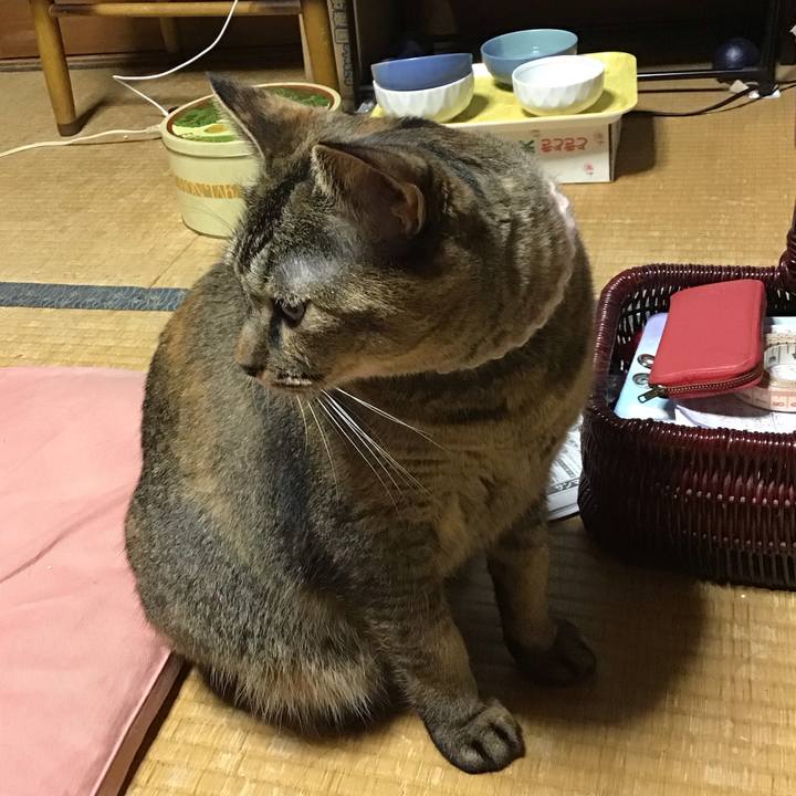 3aff9315 3335 46d1 87e4 7ce95a214391 1694773145679