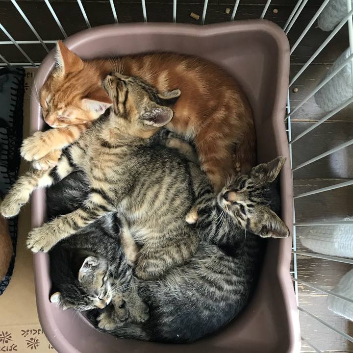 3affb857 d5e3 4815 aec3 864b1c3165fb 1531358146843