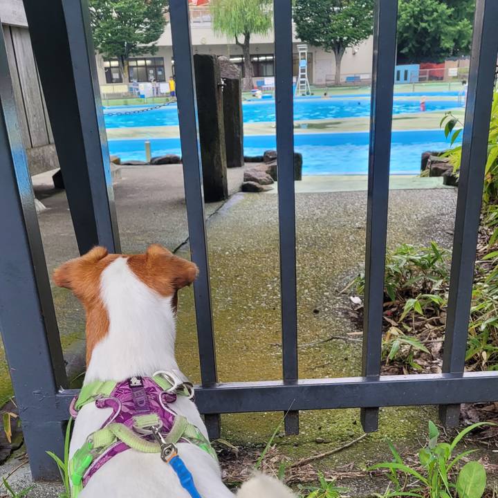 3affbe33 3104 43c8 baef 5a29fb713816 1659655317199