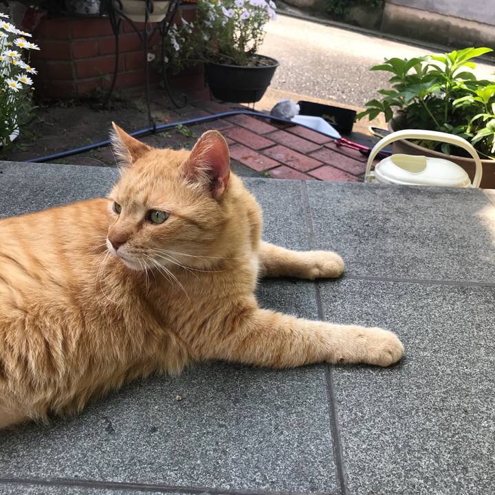 3afff424 4766 42d0 97a2 92983716cd80 1525162507281