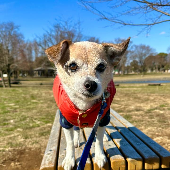 3afff74e 23a2 4921 8c9e a4c122209730 1677295921521