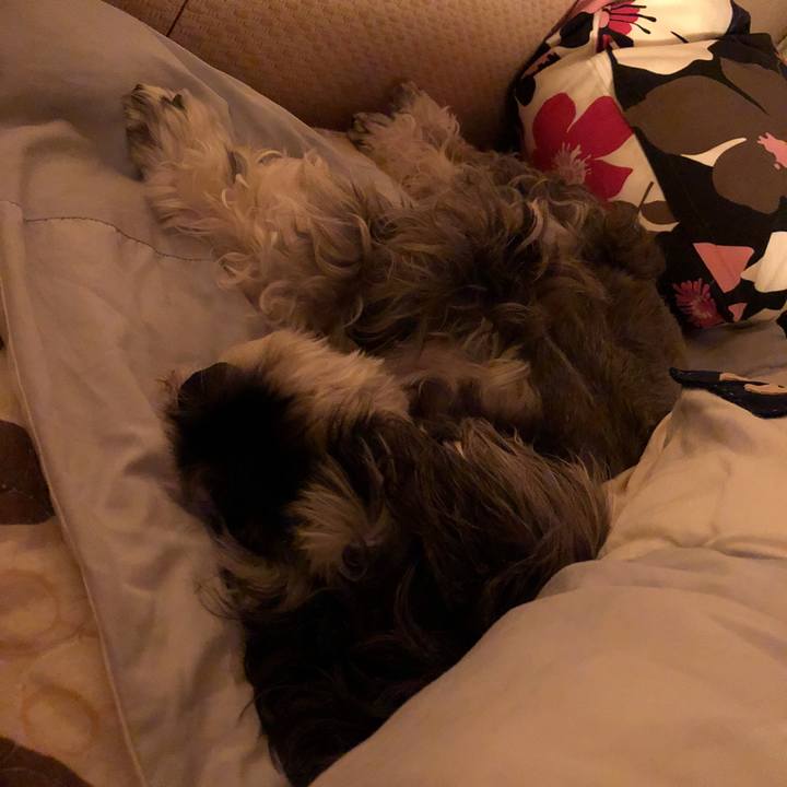 3b001d28 4bed 49b6 ae0b 956d6c2e1b88 1536674728327