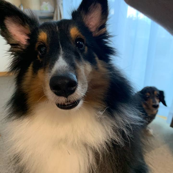 3b003071 dcfe 4a38 a018 3de278151d79 1603663454016