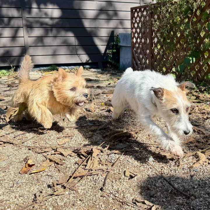 3b0040a4 7c3c 4d3a aca4 32332344d1c8 1761400284157