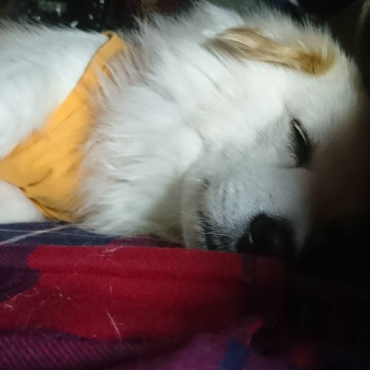 3b00668b d1ef 4288 b59f da2b561d5f1e 1509568473921