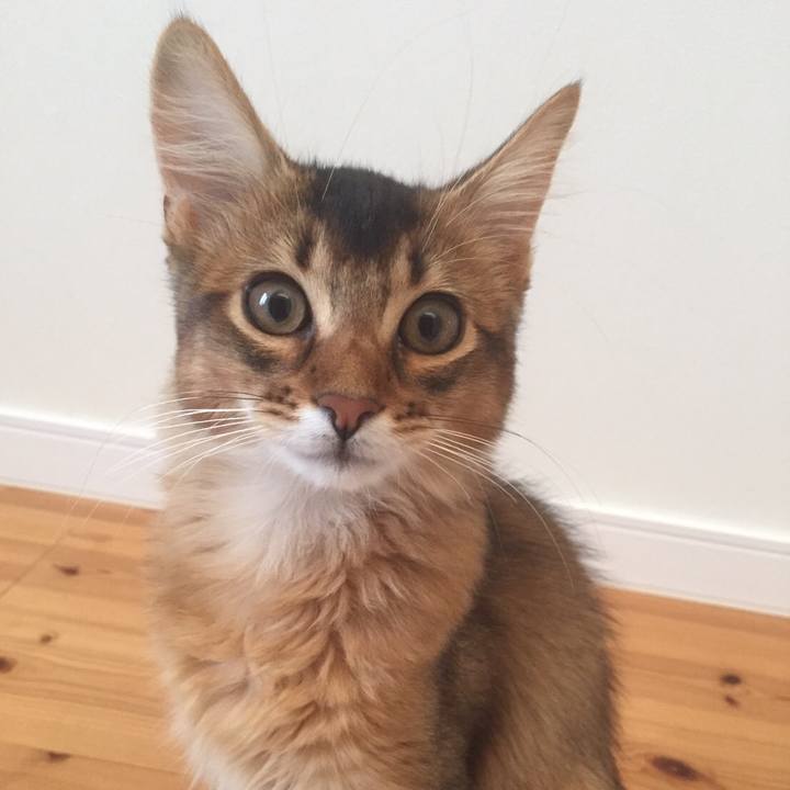 3b006d91 f69f 4f0a 8144 2ff63524ddc0 1632407704882