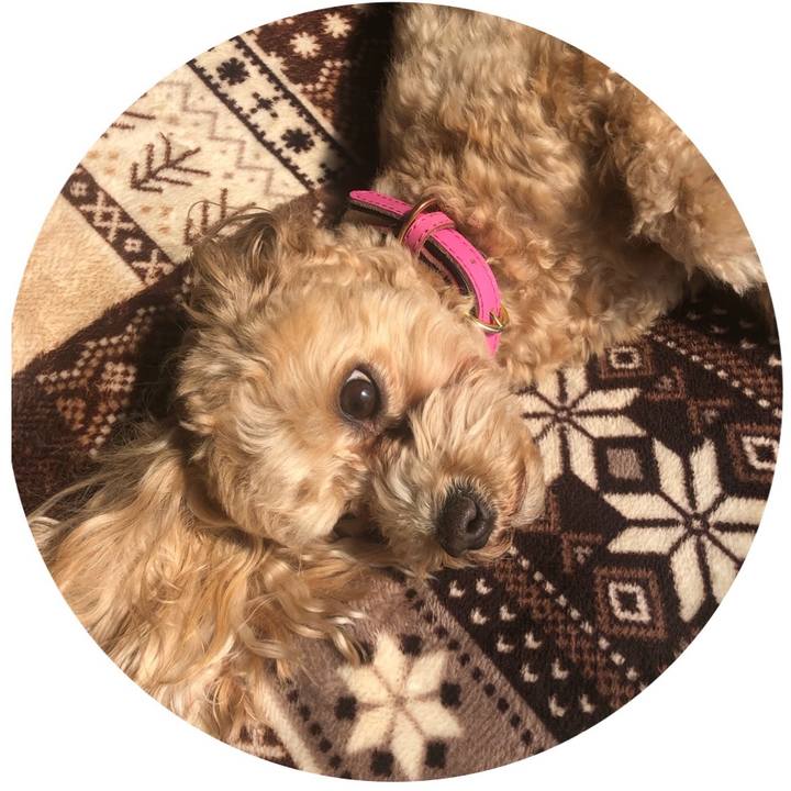 3b008244 a89f 47c3 8bd2 fffbcb01c02a 1615693999837