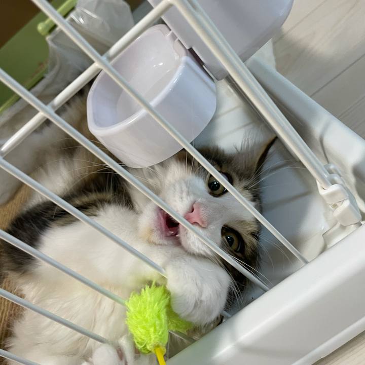 3b008fd7 fa69 4515 bdb9 8297de25695d 1635154727730