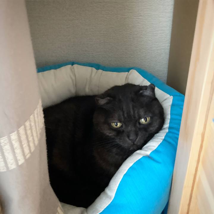 3b00a696 a888 4a25 a135 6564cc29abd7 1591174187742