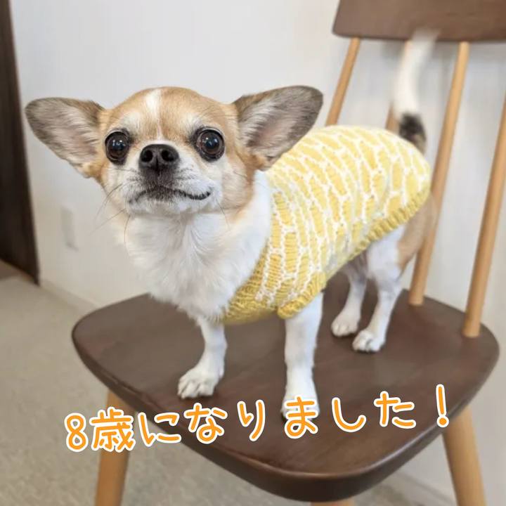 3b00a8ca 1bfc 4eba b82b 5fdba00de72d 1763593182453