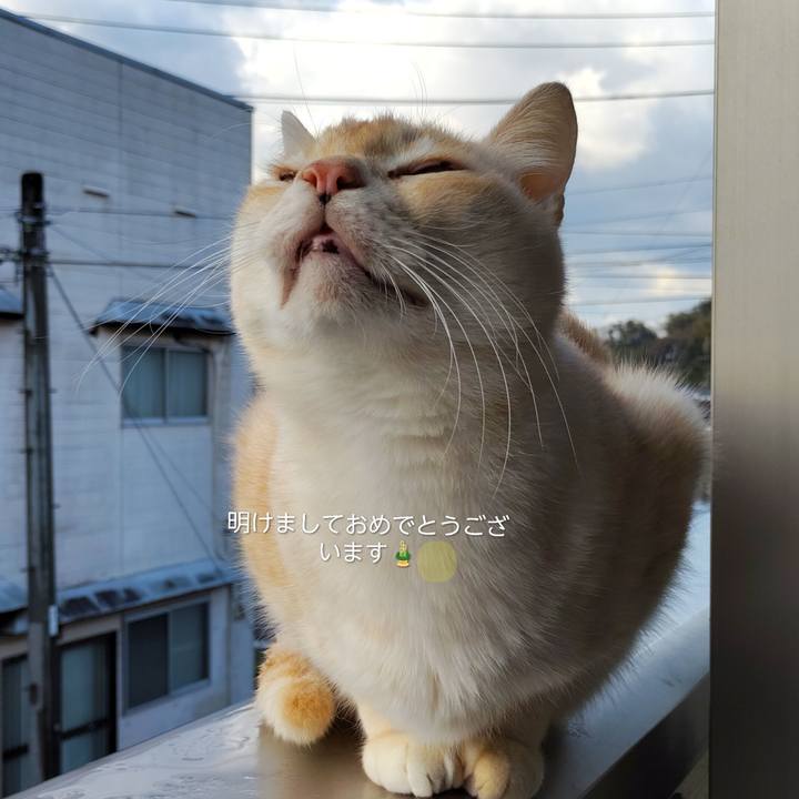 3b00aa6e 11df 43bd 9a5d b53e221ea6c5 1767411593202