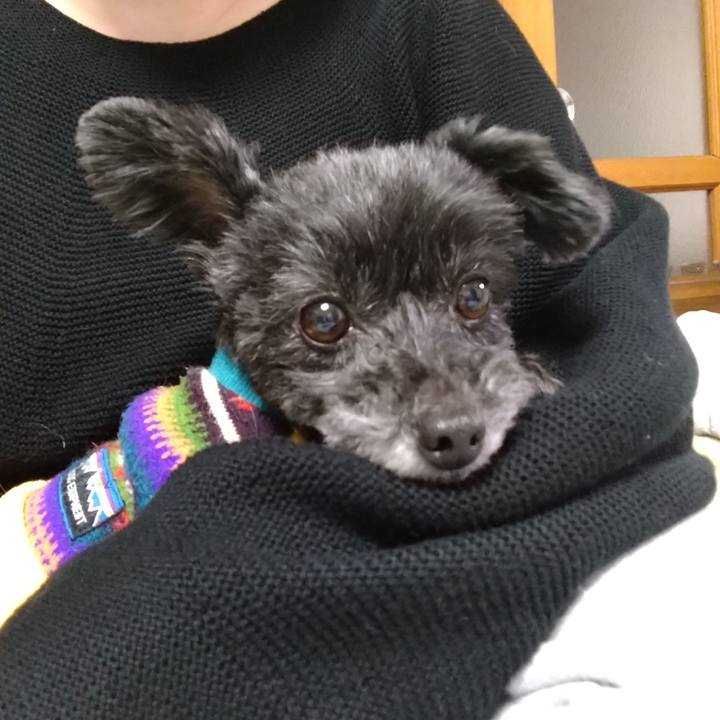 3b010aa9 3566 4857 beea 5332937e91f0 1614856345951