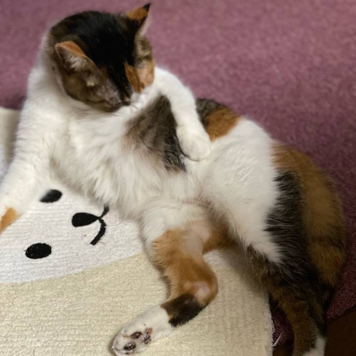 3b012c59 b8c4 496e b9c9 64c38d8e85a0 1647689589535