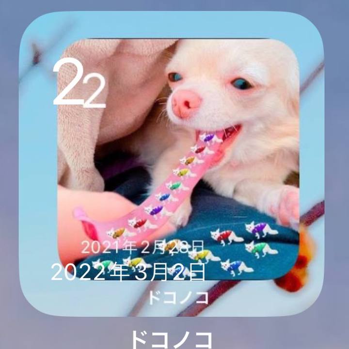 3b01301f 34af 4181 a73a f3a988abd964 1677749119359