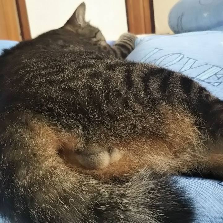 3b014fff b6c5 434a a5ed a89d744a3b76 1610292692106