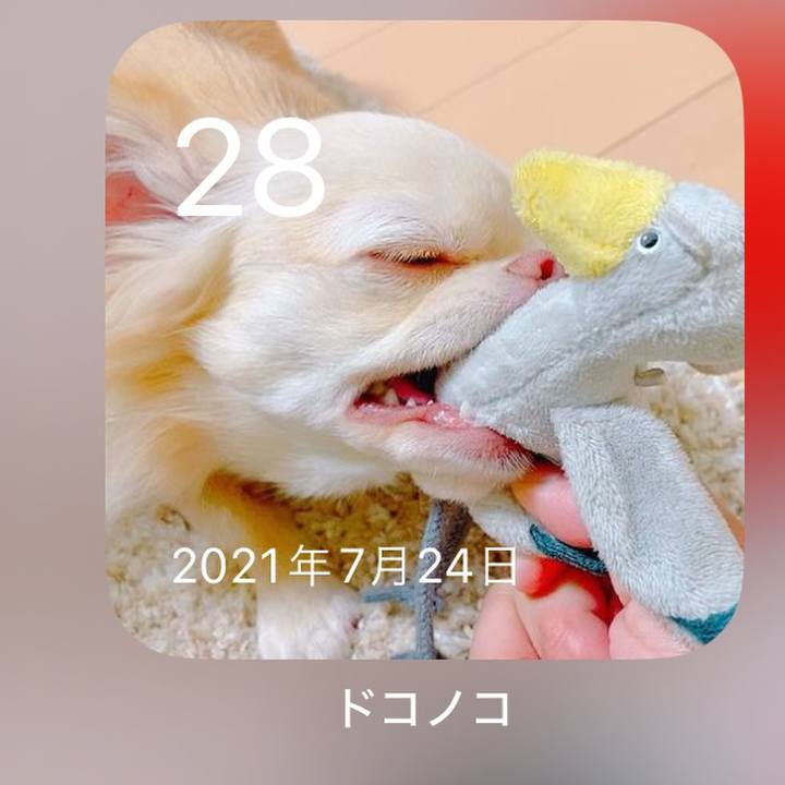 3b018009 7211 422d a4d0 fd01450888ac 1722172791964