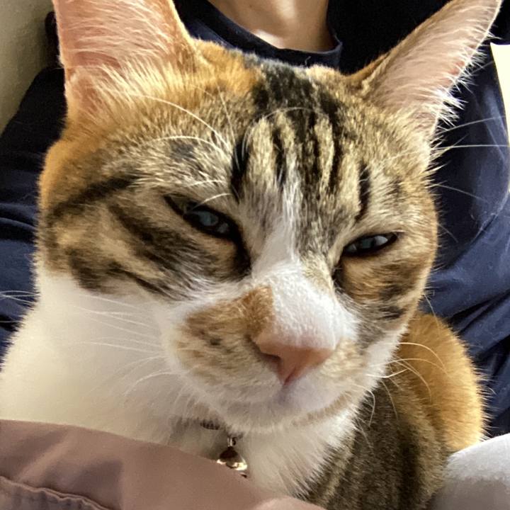 3b018191 cc3c 4294 b455 3b36393f31e8 1685685477830