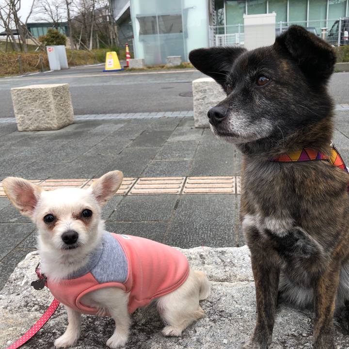 3b01bd6a c2ab 45df 90d9 398728a838a7 1585642735152