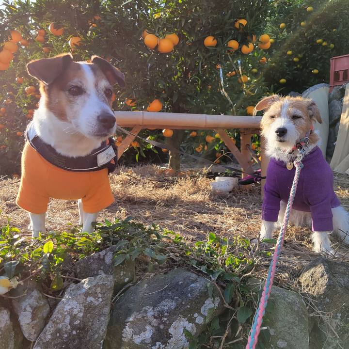 3b01daa7 f9c8 4b98 9935 ffa6e4d61442 1702161511441