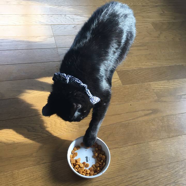 3b020338 5cce 41c0 b2b4 8c1a59de290a 1537742466748