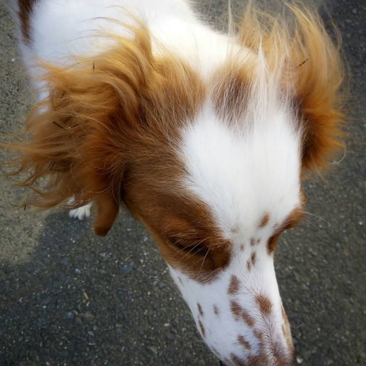 3b021739 e7ba 45d7 9e0f 8bee8696740d 1513238727944