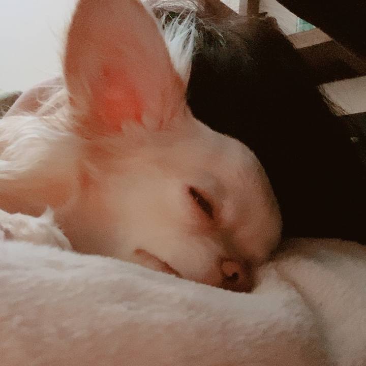 3b028f34 ae88 4efd 8774 dcb86406c13c 1625606081219