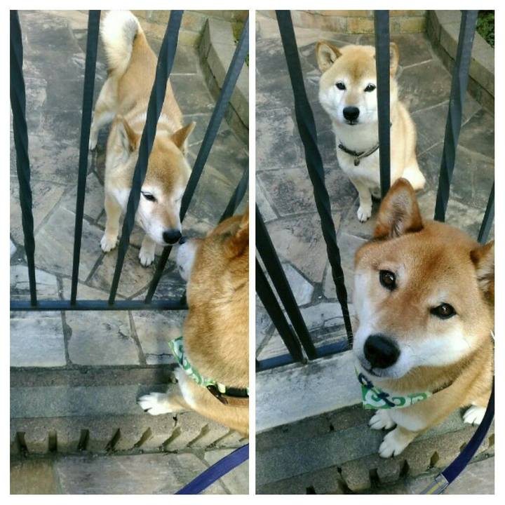 3b02c081 fb48 4b50 8f7a c8178952d3c4 1560759471333