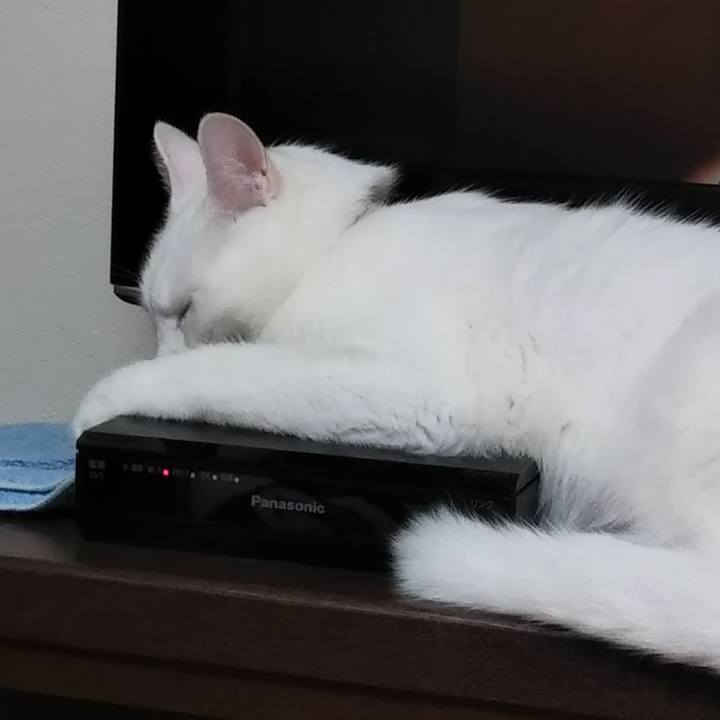 3b02d4c8 0843 42f9 ae10 de5f0ea92f7b 1628548116270