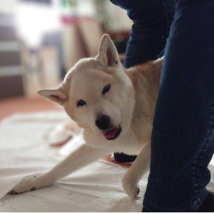 3b0328a5 a699 41ef a40d 582e50440ac1 1745534407854