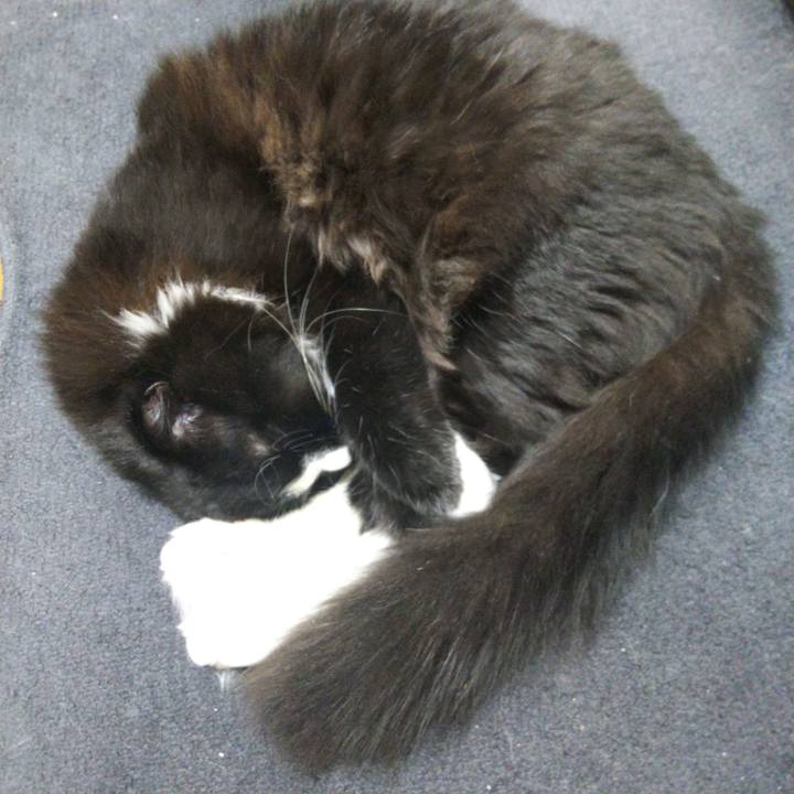 3b036616 86ec 456f 951c 898968f75ff5 1650003066068