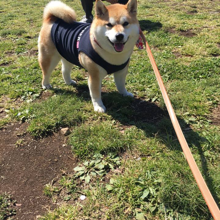 3b0378b5 b268 4bf1 81f3 f52dbd8ae187 1555152863026